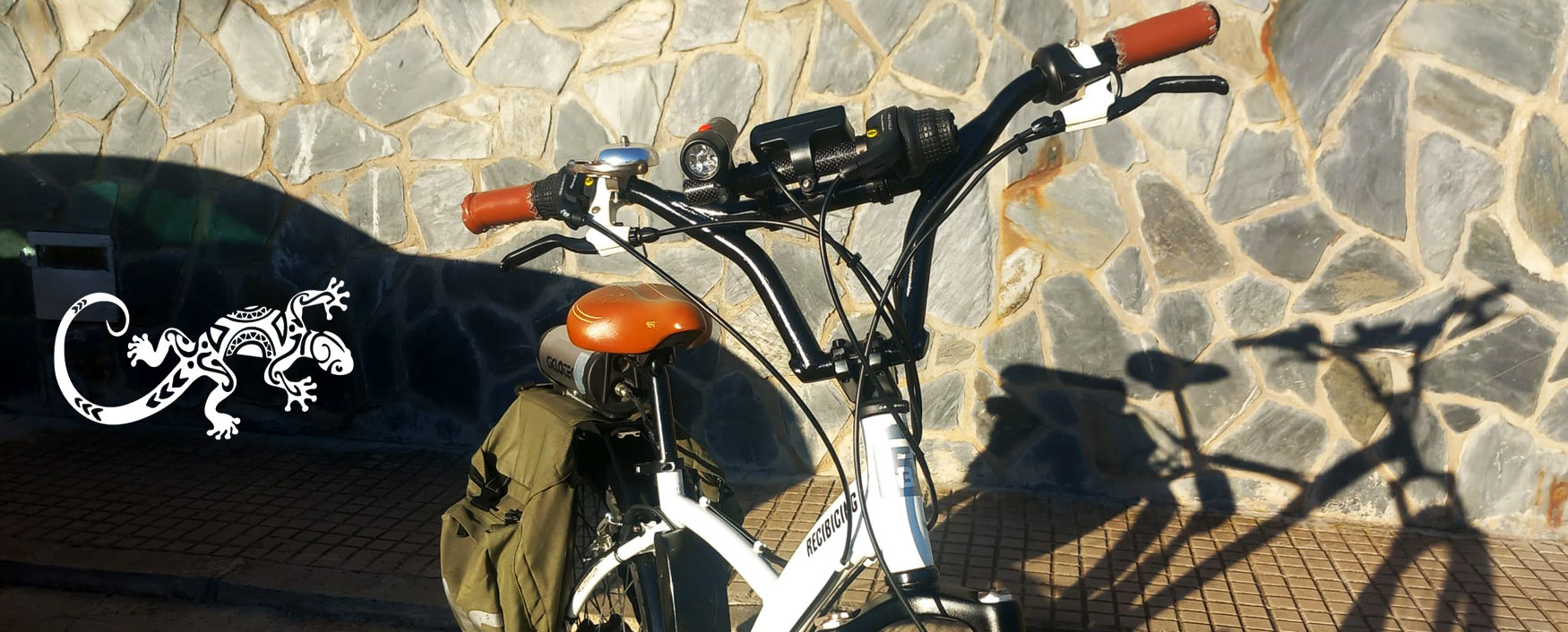 e-bike carbono